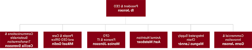 Perstorp Organization chart in red of ELT 